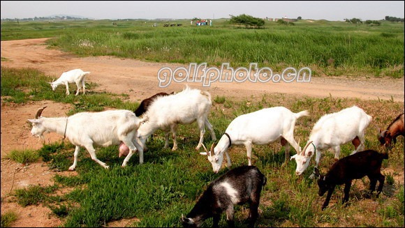 宁安天气预报30天,宁安未来30天天气预报,宁安
